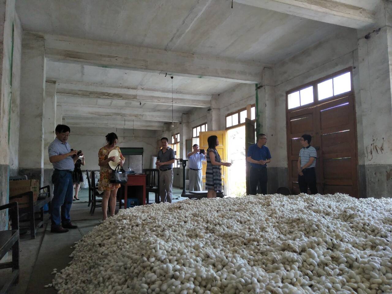 QQ图片20170802080215.jpg
