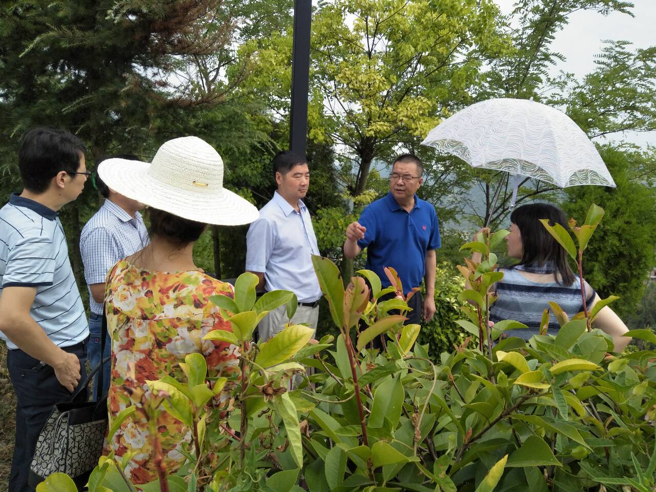 QQ图片20170802080159.jpg
